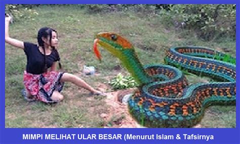 Mimpi dililit ular di badan menurut islam pinterest